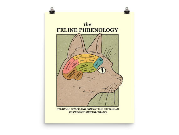 Feline Phrenology