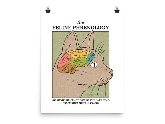 Feline Phrenology