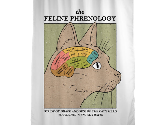 Feline Phrenology