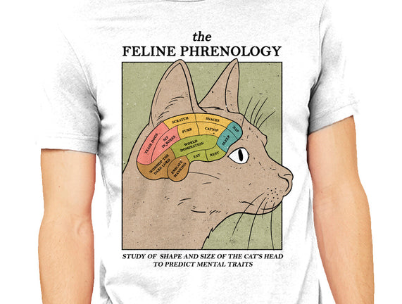 Feline Phrenology