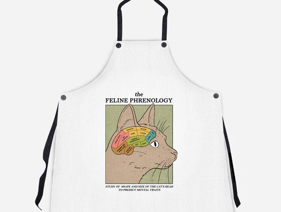 Feline Phrenology