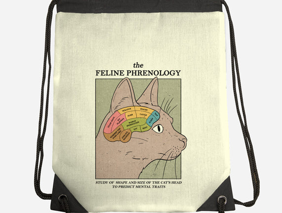 Feline Phrenology