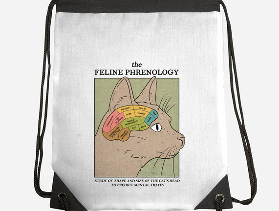 Feline Phrenology