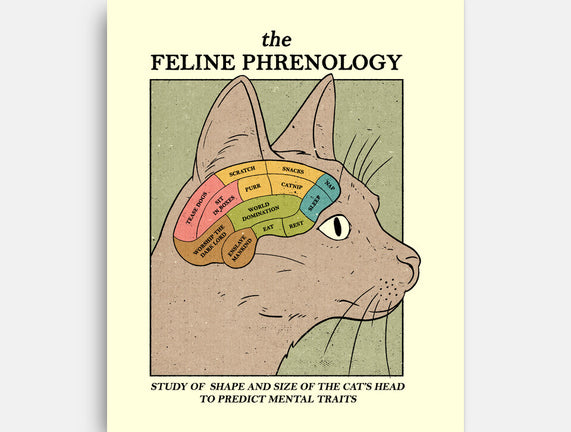 Feline Phrenology