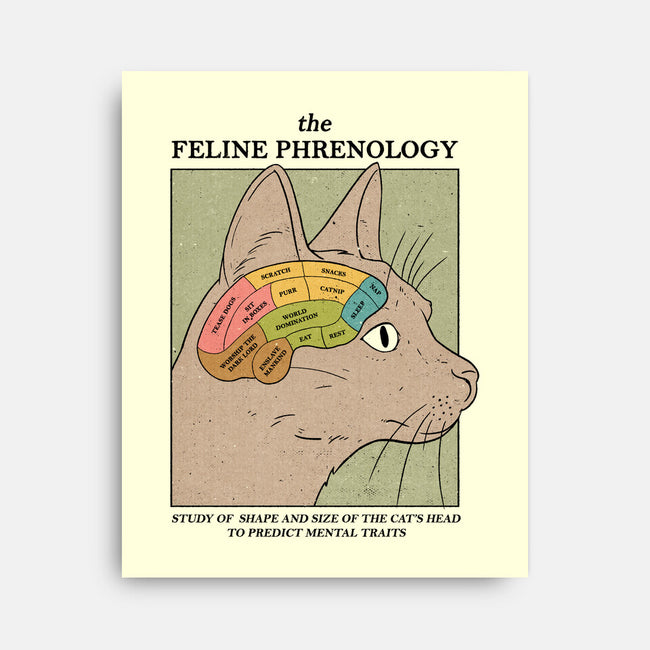 Feline Phrenology-None-Stretched-Canvas-Thiago Correa