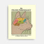 Feline Phrenology-None-Stretched-Canvas-Thiago Correa