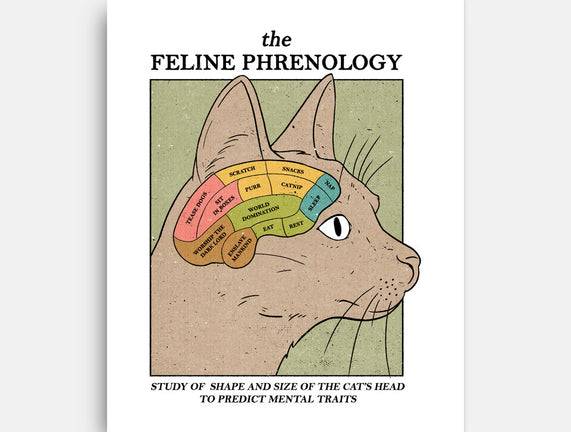 Feline Phrenology