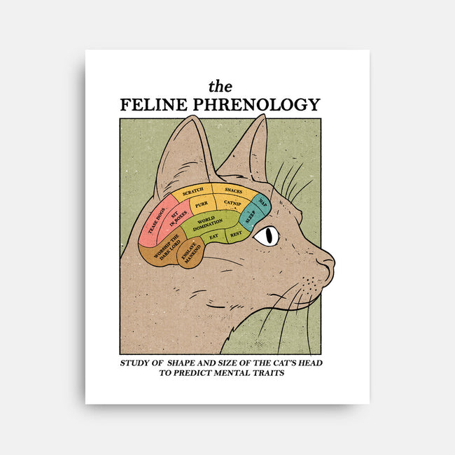 Feline Phrenology-None-Stretched-Canvas-Thiago Correa