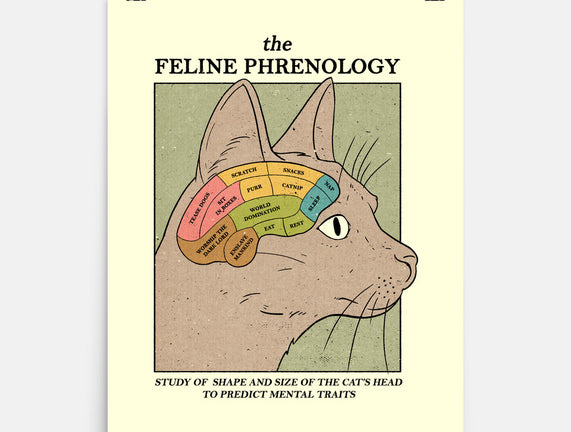 Feline Phrenology
