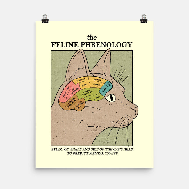 Feline Phrenology-None-Matte-Poster-Thiago Correa