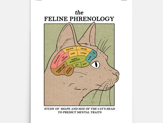 Feline Phrenology