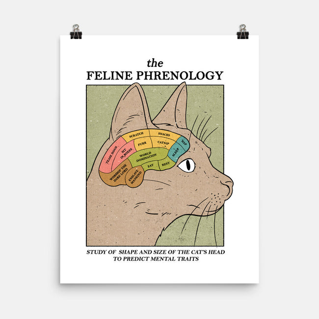 Feline Phrenology-None-Matte-Poster-Thiago Correa