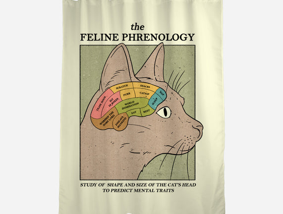 Feline Phrenology