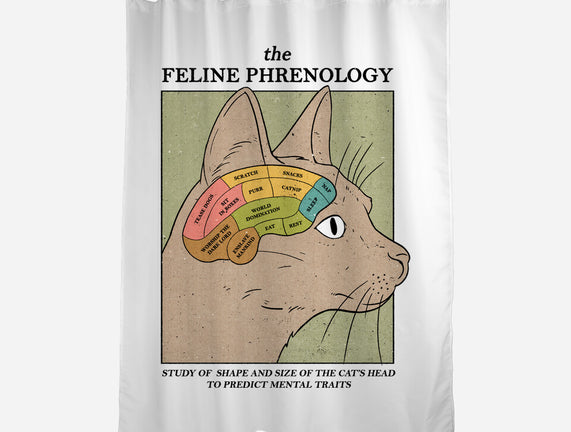 Feline Phrenology