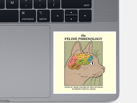 Feline Phrenology