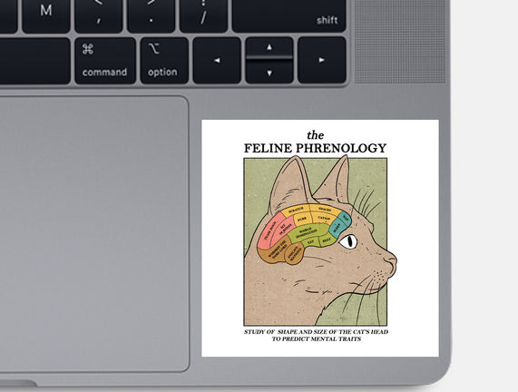 Feline Phrenology