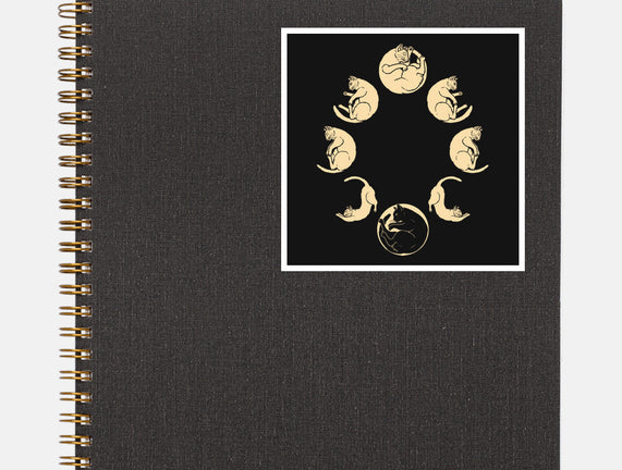 Moon Cycle