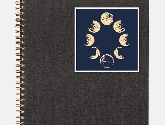 Moon Cycle