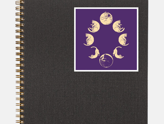 Moon Cycle