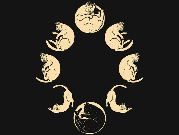 Moon Cycle