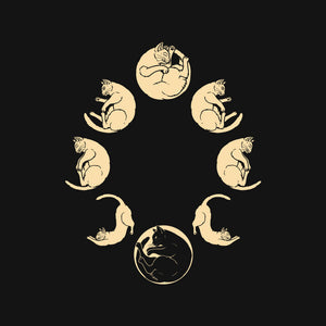 Moon Cycle