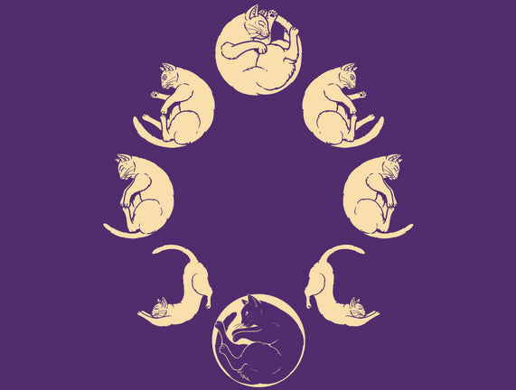 Moon Cycle