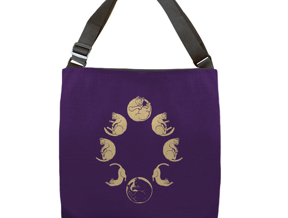 Moon Cycle