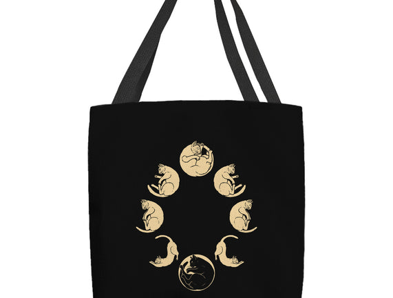 Moon Cycle