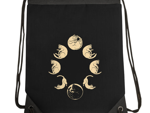 Moon Cycle