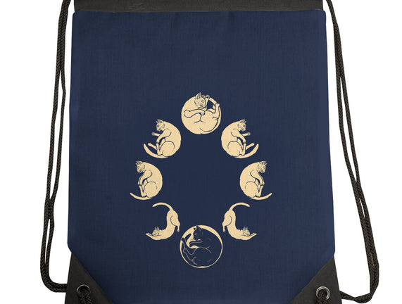Moon Cycle
