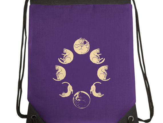 Moon Cycle