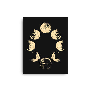 Moon Cycle
