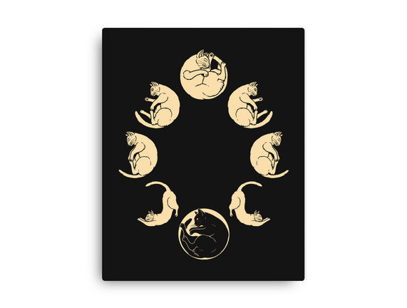 Moon Cycle