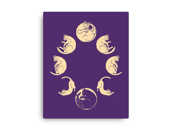 Moon Cycle