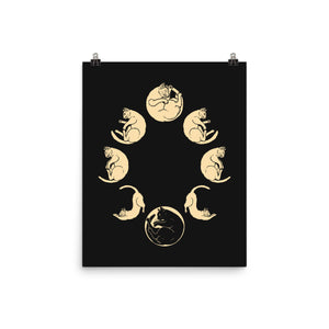 Moon Cycle