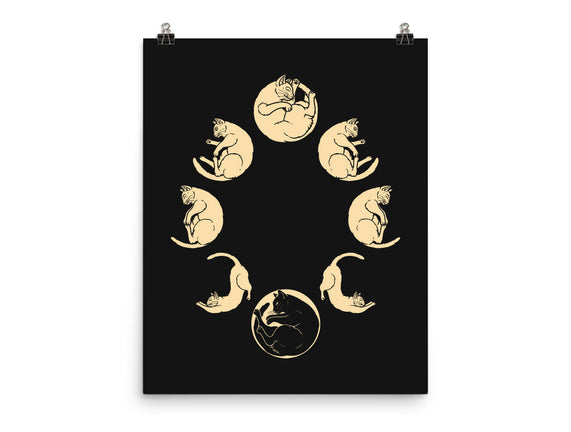 Moon Cycle