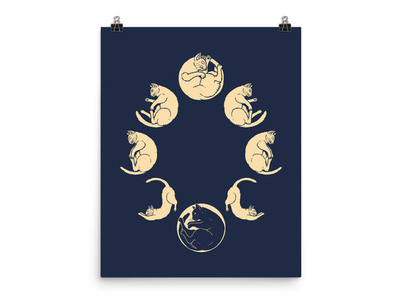 Moon Cycle