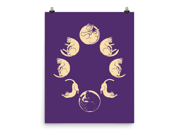 Moon Cycle