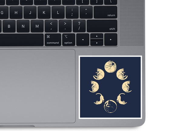 Moon Cycle