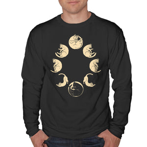 Moon Cycle