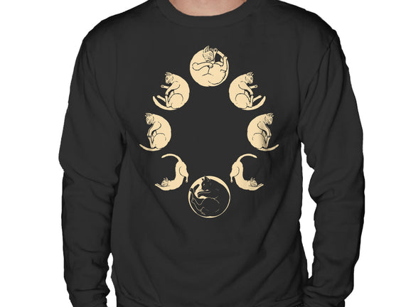 Moon Cycle