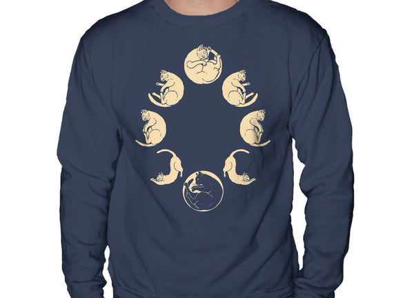 Moon Cycle