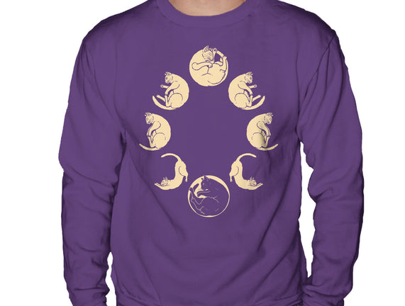 Moon Cycle