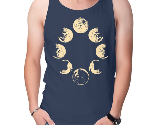 Moon Cycle