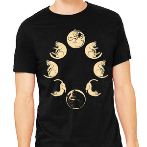 Moon Cycle