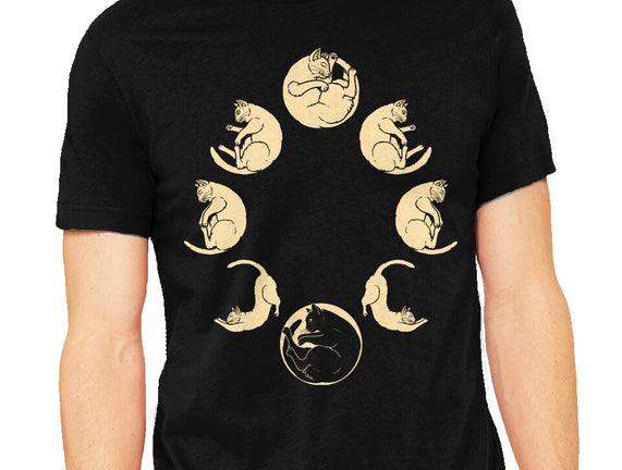 Moon Cycle