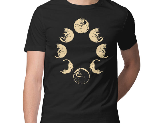 Moon Cycle