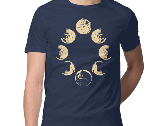 Moon Cycle
