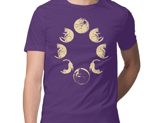 Moon Cycle
