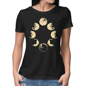 Moon Cycle